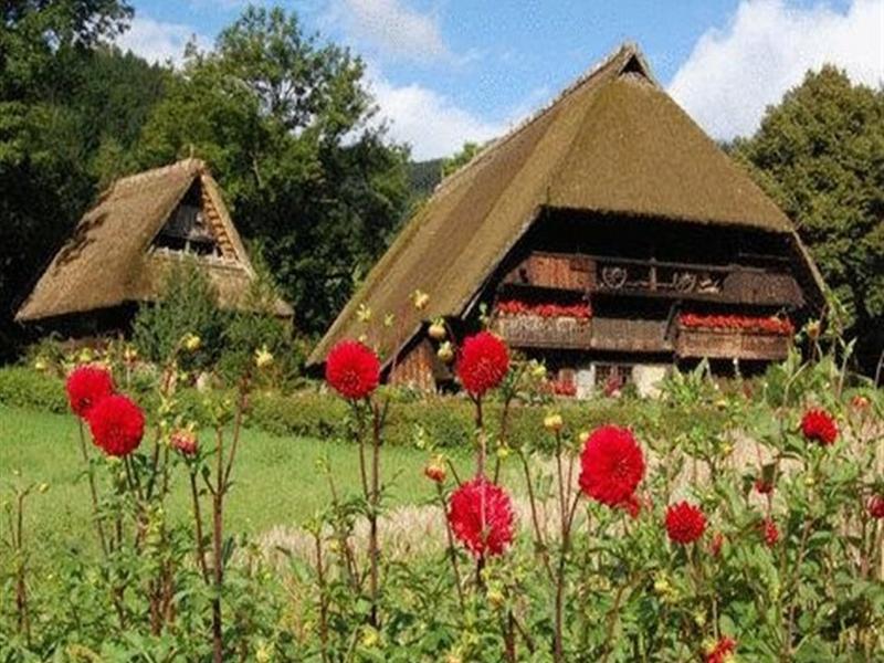 Gasthaus Finken Oppenau Εξωτερικό φωτογραφία